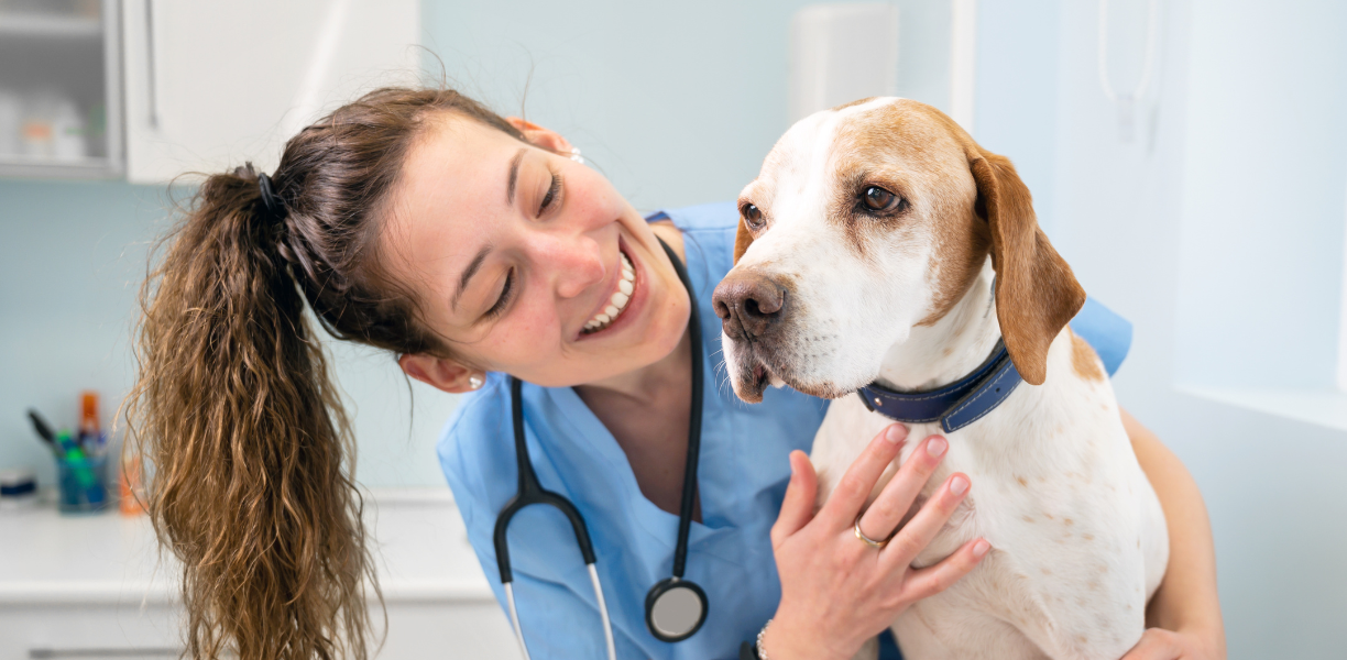 Veterinarian sales on broadway