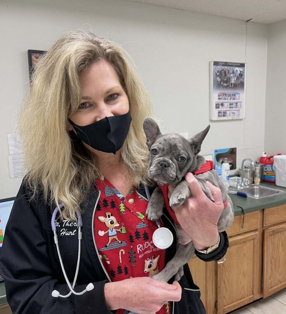 Veterinarian In Rochester,MN 55904 Broadway Veterinary Hospital