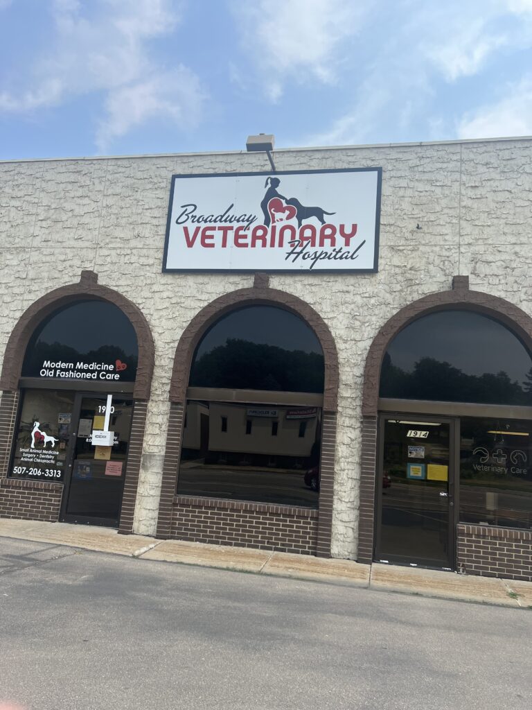 Rochester, MN Veterinary Careers | Broadway Veterinary Hospital