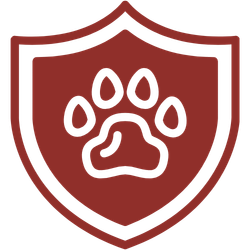 pet insurance icon